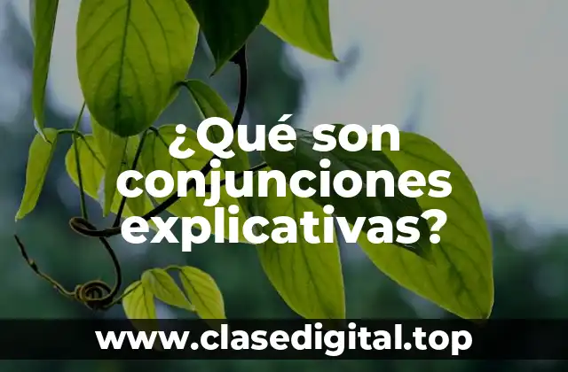 ¿Qué son conjunciones explicativas?
