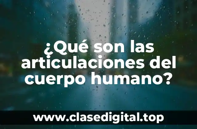 ¿Qué son las articulaciones del cuerpo humano?