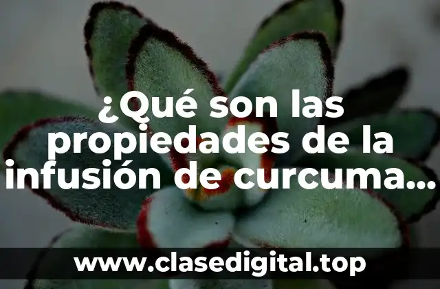 ¿Qué son las propiedades de la infusión de curcuma y cómo benefician nuestra salud?