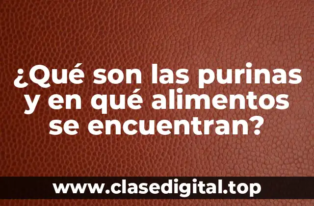 ¿Qué son las purinas y en qué alimentos se encuentran?