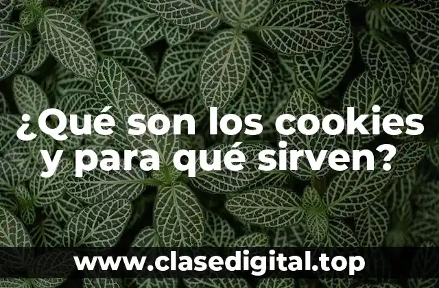 ¿Qué son los cookies y para qué sirven?
