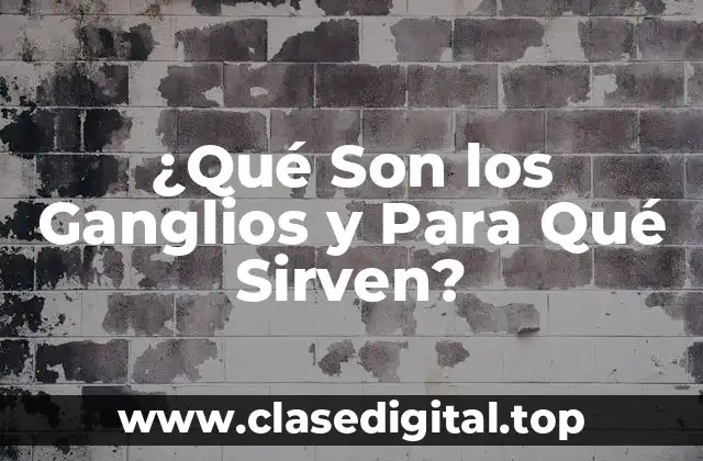 ¿Qué Son los Ganglios y Para Qué Sirven?