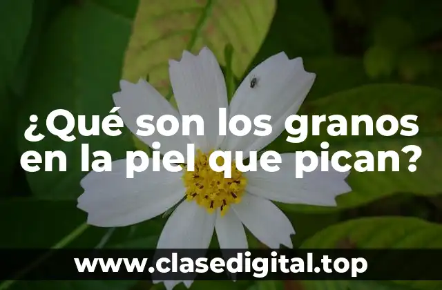 ¿Qué causan los granos en la piel que pican?