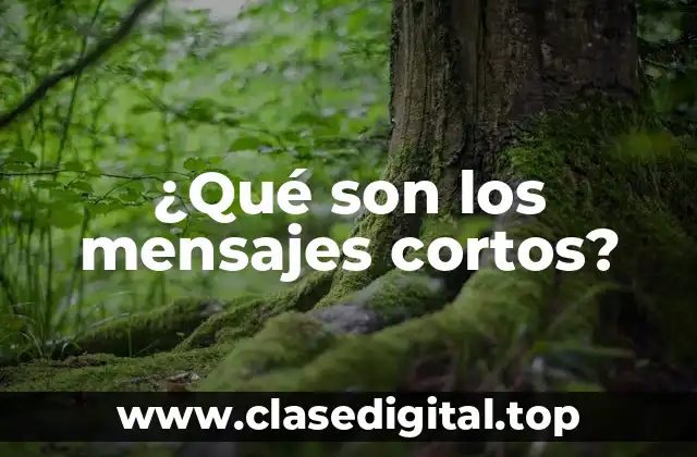 ¿Qué son los mensajes cortos?