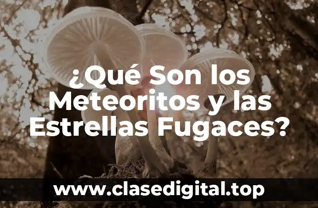 ¿Qué Son los Meteoritos?