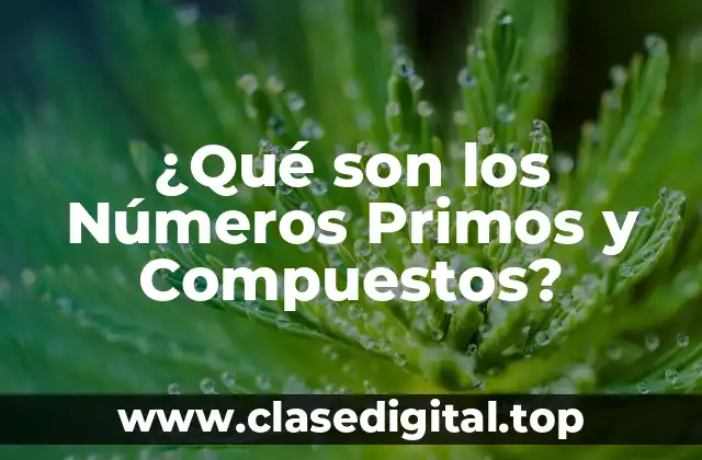 Definición de Números Primos y Compuestos