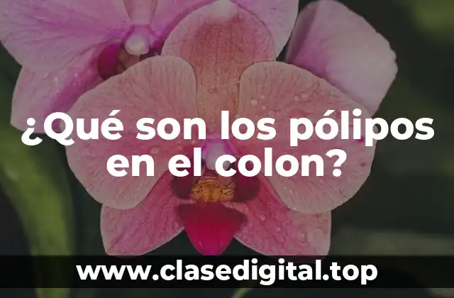 ¿Qué son los pólipos en el colon?