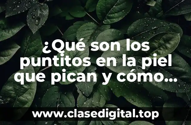 ¿Qué son los puntitos en la piel que pican y cómo tratarlos?