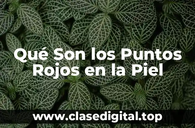 Qué Son los Puntos Rojos en la Piel