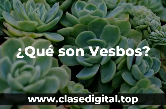 ¿Qué son Vesbos?