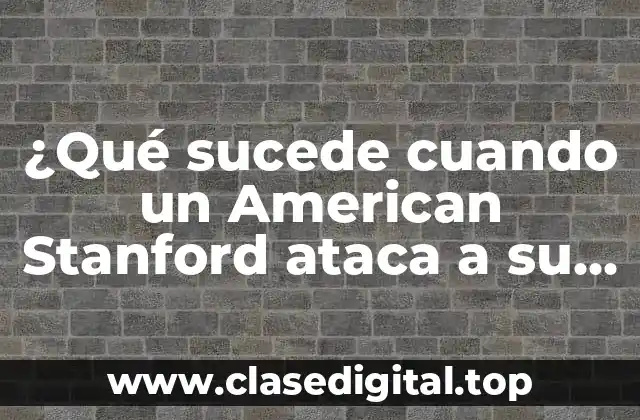 ¿Qué sucede cuando un American Stanford ataca a su dueño?