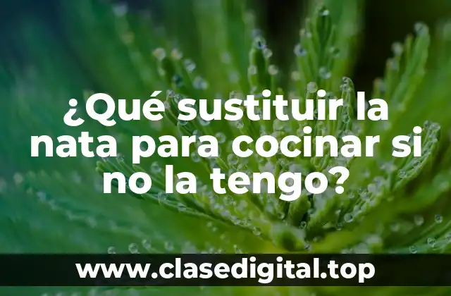 ¿Qué es la nata y para qué se usa en cocina?