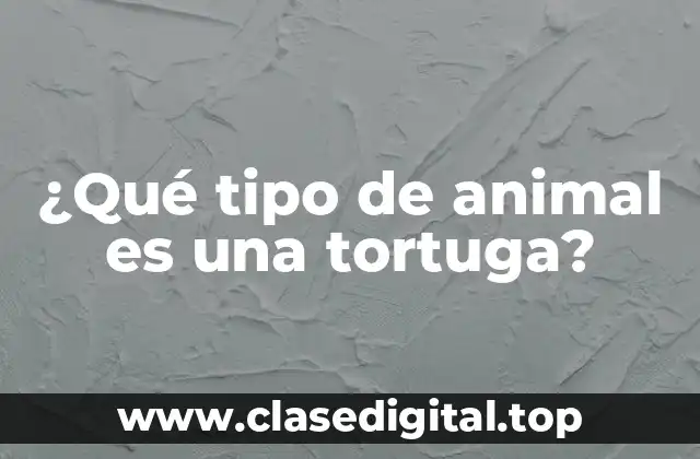 ¿Qué tipo de animal es una tortuga?