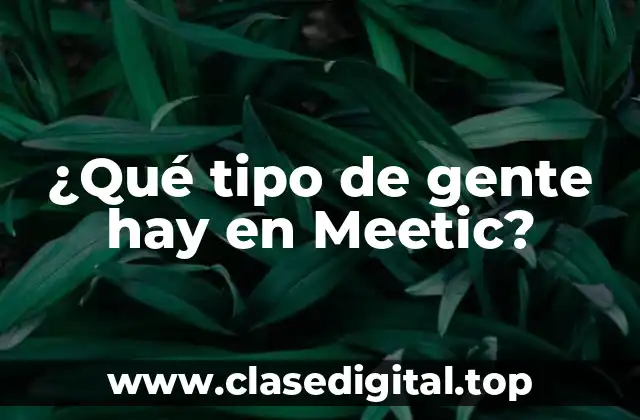 ¿Qué tipo de gente hay en Meetic?
