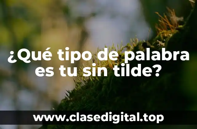 ¿Qué tipo de palabra es tu sin tilde?