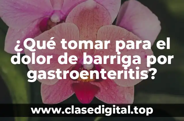 ¿Qué tomar para el dolor de barriga por gastroenteritis?