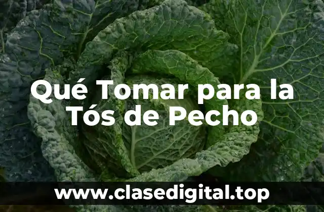 Qué Tomar para la Tós de Pecho