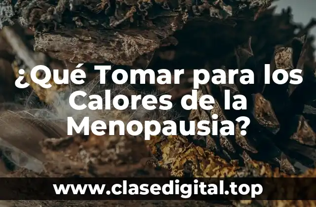¿Qué Tomar para los Calores de la Menopausia?