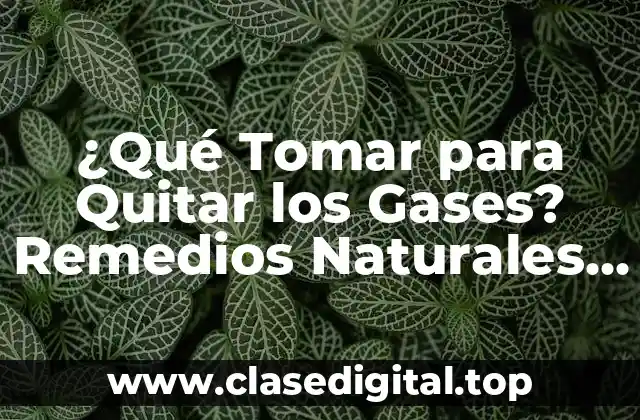 ¿Qué Tomar para Quitar los Gases? Remedios Naturales y Efectivos