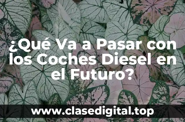 ¿Qué Va a Pasar con los Coches Diesel en el Futuro?