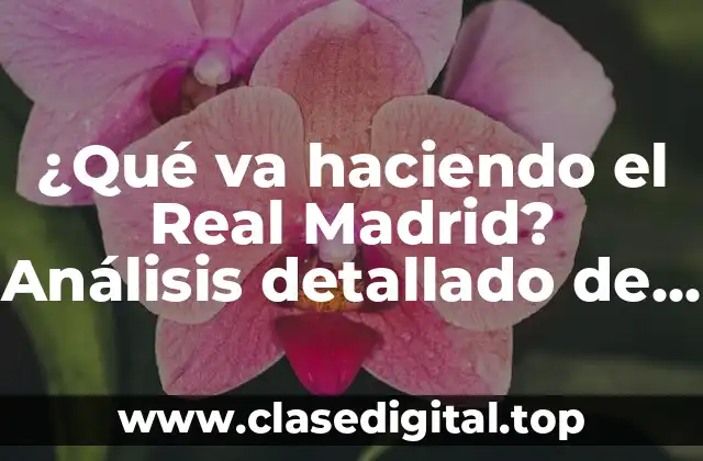 ¿Qué va haciendo el Real Madrid? Análisis detallado de la temporada actual