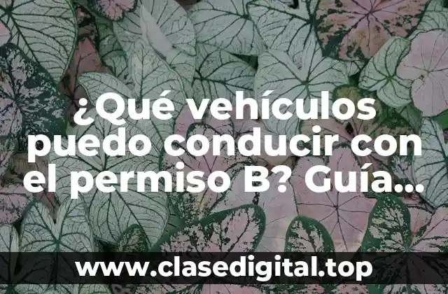 ¿Qué vehículos puedo conducir con el permiso B? Guía completa y detallada