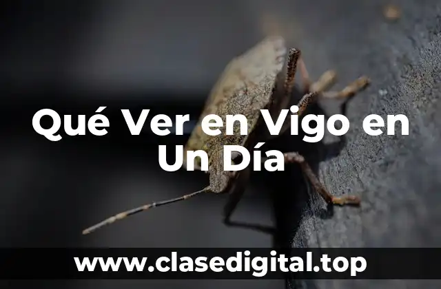 Qué Ver en Vigo en Un Día