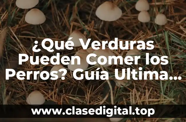 ¿Qué Verduras Pueden Comer los Perros? Guía Ultima para Propietarios de Perros