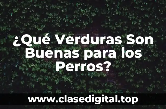 ¿Qué Verduras Son Buenas para los Perros?
