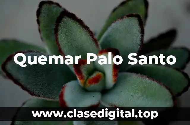 Quemar Palo Santo