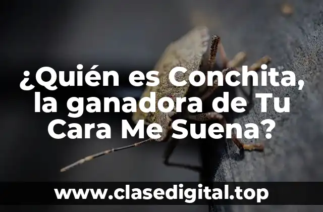 ¿Quién es Conchita, la ganadora de Tu Cara Me Suena?