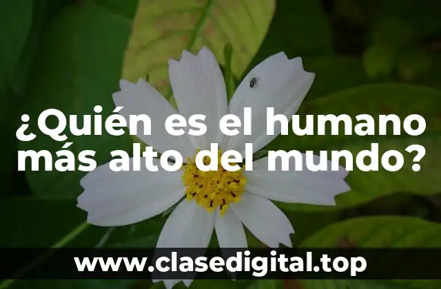 ¿Quién es el humano más alto del mundo?