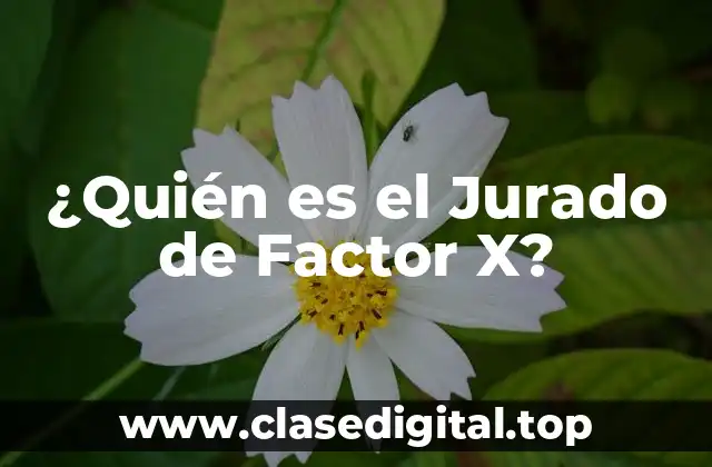 ¿Quién es el Jurado de Factor X?