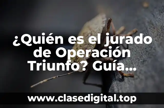 La historia de los jurados de Operación Triunfo
