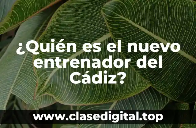 ¿Quién es el nuevo entrenador del Cádiz?