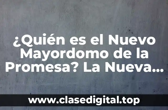 Historia de los Mayordomos de la Promesa