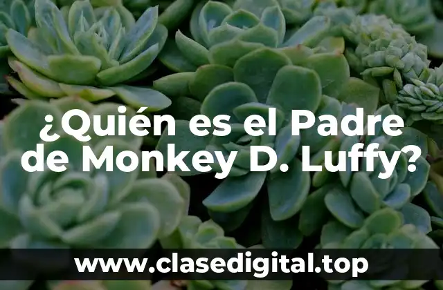 ¿Quién es el Padre de Monkey D. Luffy?