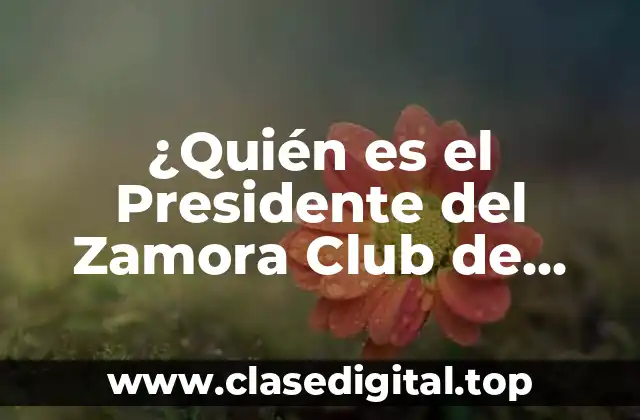 ¿Quién es el Presidente del Zamora Club de Fútbol?