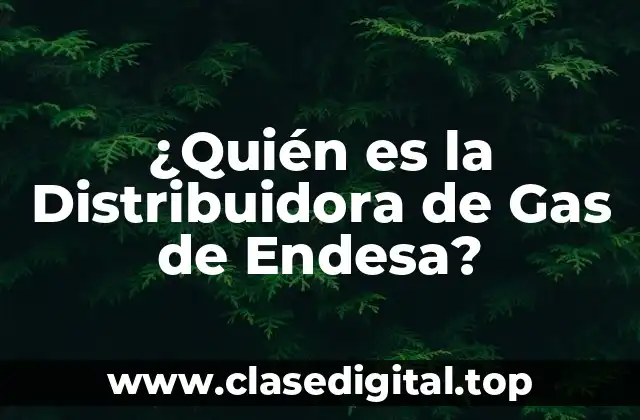 Historia de la Distribuidora de Gas de Endesa