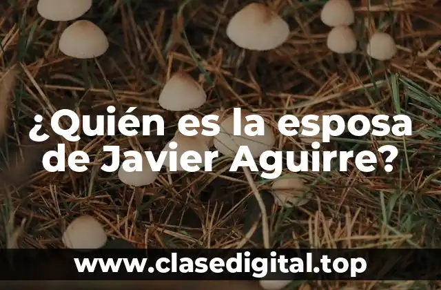 Biografía de Javier Aguirre