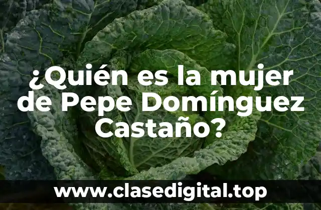 ¿Quién es la mujer de Pepe Domínguez Castaño?