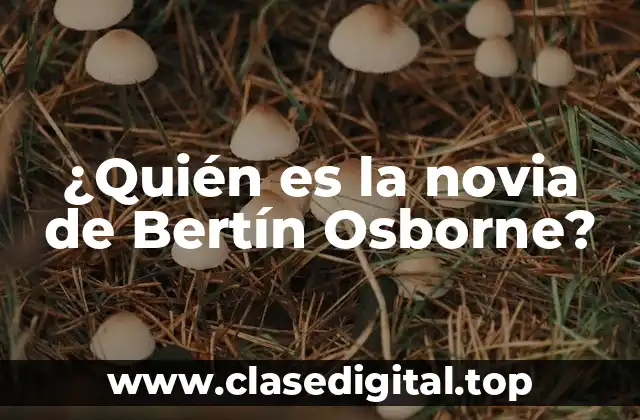 La carrera de Bertín Osborne