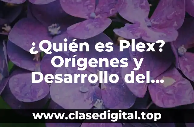 ¿Quién es Plex? Orígenes y Desarrollo del Servicio de Streaming