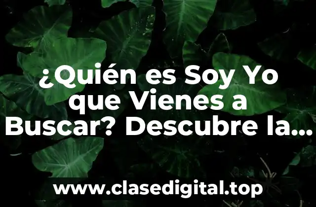 Orígenes de Soy Yo que Vienes a Buscar