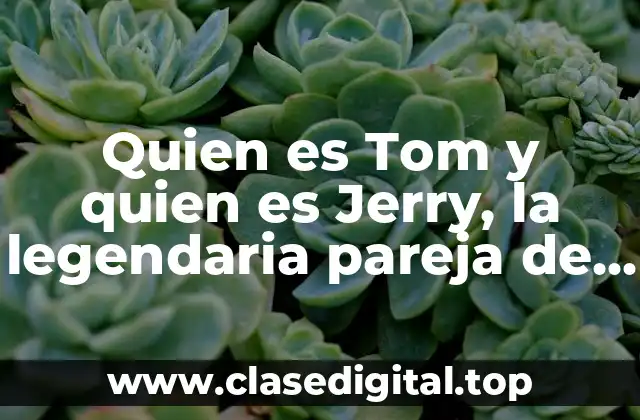 Quien es Tom y quien es Jerry, la legendaria pareja de cartoon