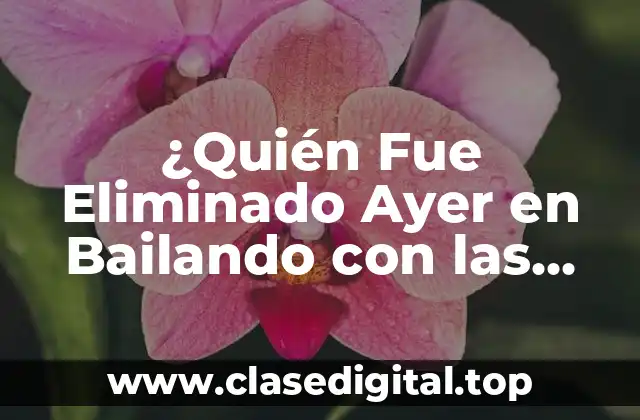 La Competencia de Bailando con las Estrellas