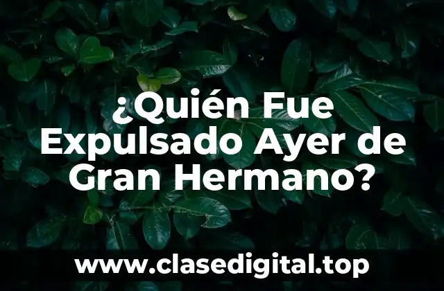 ¿Quién Fue Expulsado Ayer de Gran Hermano?