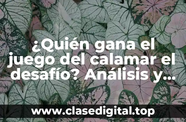 ¿Quién gana el juego del calamar el desafío? Análisis y estrategias para triunfar