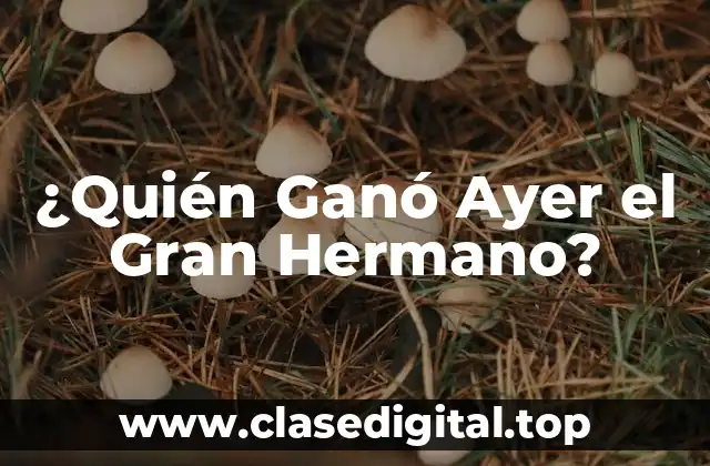 ¿Quién Ganó Ayer el Gran Hermano?