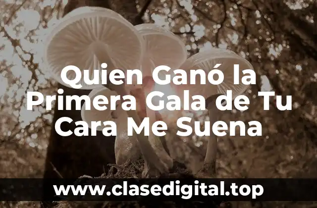 El Nacimiento de Tu Cara Me Suena